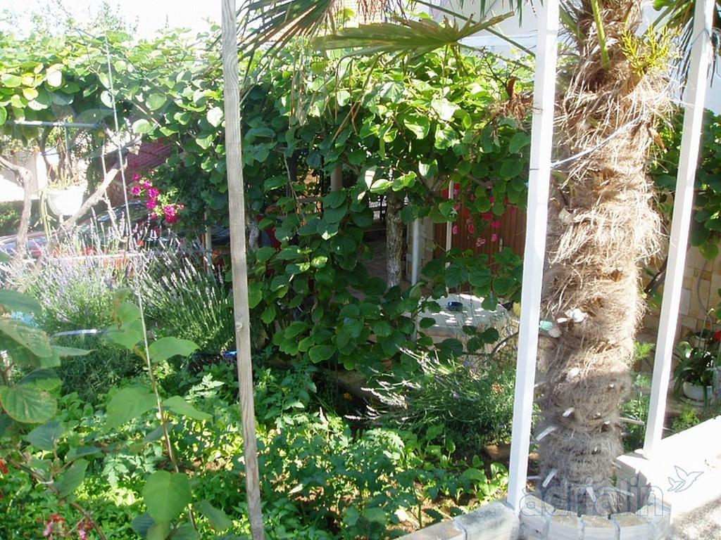 Kiwi apartments Gornji Karin Zewnętrze zdjęcie